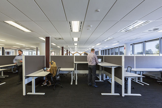 Wurkspace7 Healthy Office