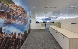 The Ride of Living Walls The Ride of Living Walls